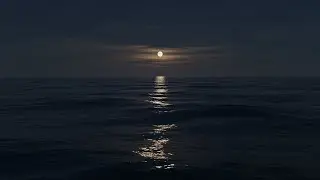 Work Stress Keeping You Awake? 🌙 Night Ocean Waves for Deep Rest (LIVE)