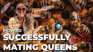 From Hobby to Full Time: How We&rsquo;re Mating 180 Queens to Scale Our Bee Operation!