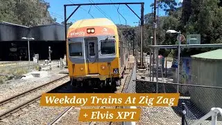 Vlog 221 : Weekday Trains At Zig Zag + Elvis XPT