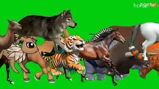 Бегущее животное на зеленом экране видео с персонажем мультфильма #животное