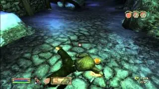 The Elder Scrolls IV Oblivion - Fun with Frenzy - Bruma
