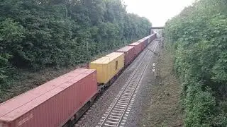BR 223 der EVB mit Containerzug und sch&ouml;nem Makro in Stuttgart