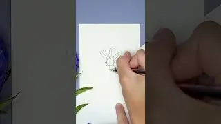 How To Draw A  Flower - Aster #flowerdrawing