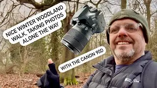 Winter woodland walk. Using the Canon 90D
