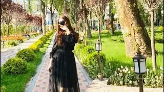 Navik MS   Таслим ша 2020