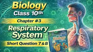 Class 10th Biology Chapter 3 | Respiratory System | Q7 & Q8 | FBISE | Online Smart Study