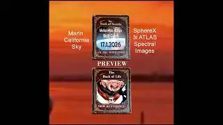 Book of Secrets-3iATLAS Debris 10mm Size-Bullet Size Meteorites-FATE REVEALED 4