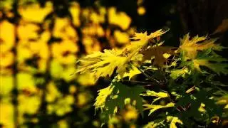 Yurima - The River Flows In You