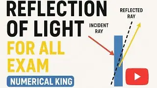 Numerical for reflection of light class 3