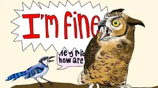 Funniest Animal Comics Ever 😂 — Best Community Shared Clips!