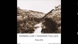 Raining Leaf / Wizards Tell Lies - Fallen