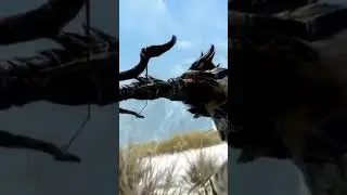 Skyrim butt