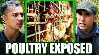 @peepalfarm Exposes Poultry , Dairy& Moringa Reality 2026 | Indian Farmers Must Watch