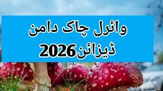 Latest Chalk Daman Designing Ideas for Winters 2026 || Viral Chalk Designs || Daman Designs 2026