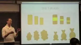 Molly Bang Goldilocks Project