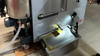 MiniOlive 50