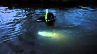 Подводный охотник