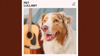 Music for Pets
