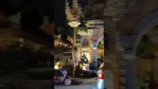 Indonesia series 15   ubud view