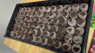 Jiffy Plant Germination Tray Kit | Perfect for Winter Sowing #amazoninfluencer