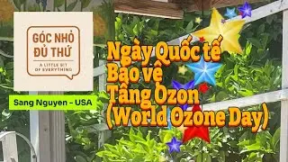 (World Ozone Day &ndash; Ng&agrave;y Quốc tế Bảo vệ Tầng Ozon (September 16)