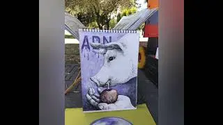 NO, NO Y NO NOBOA NO VA MÁS... 
