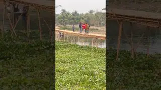 Why go abroad? #viralvideo #lovemusic #agriculture #farming #lovesong #shortvideo