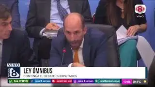 LEY &Oacute;MNIBUS