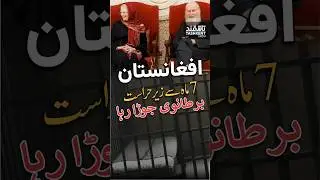 Afghan government released British Couple #afghanistan #britishcouple #viralreels #viralshorts