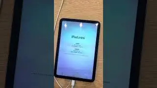  Ipad mini (2021) Price in Dubai #shorts #apple #ipadmini #dubai #applestore