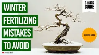 &ldquo;Don&rsquo;t Harm Your Bonsai! Winter Fertilizing Mistakes to Avoid&rdquo;