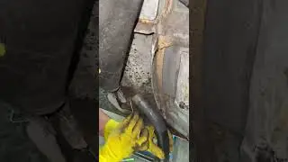 Important work to prevent rusting #mechanic #repair #bmw #car #rust #cleaning #diy #bodywork