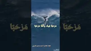 ٢٨ ديسمبر ٢٠٢٥