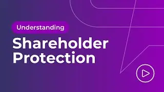 Understanding Shareholder Protection