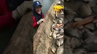 Daming grasya mga idol
