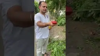 fieldstar pruning saw🔥🔥 #youtube #treecutter #viralshort #gardeningtools
