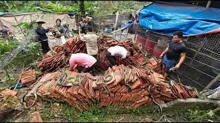 Món ngon trong đống đổ nát | Nhịp Sống Tây Bắc