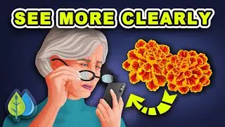 Top 10 vitamins for your eyes | IMPORTANT eye vitamins improve your eye health