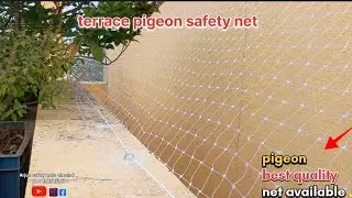 Pigeon safety net chennai 🕊️ || ph : 8925259574 ||#pigeonnet #safetynets #childrensafety 🕊️🐒👈