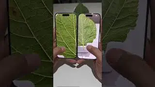 iPhone 16 Pro Vs Oppo Reno 15 camera testing review flagship vs midrange phone #oppo #iphone