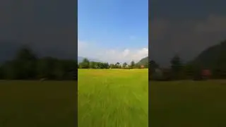 Shogran Valley | Naran | Amazing Video | Naran | Valley| Sharan Forest | Short | Hunza | Kashmir