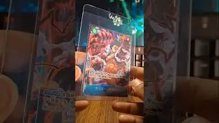 OP11 additions to the master sets! #onepiece #tcg