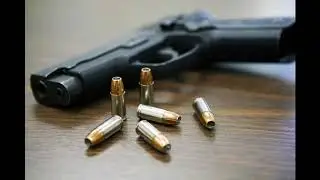 Gun Control Discussion - Michael Huemer & David Kopel