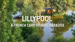 Lillypool French Carp Fishing - An Island Social