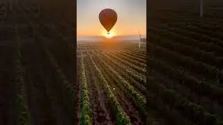 Walla Walla Wine Tours By Hot Air Balloon