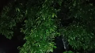 Makhluk halus yang lagi keliling 
