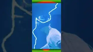 AARON JUDGE THE BEST BAT FLIP IN PLAYOFF 2025 #mlb #mlbpostseason #news #music