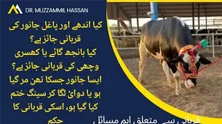 Pregnant ya pagal ya baanjh ya 3 teats waly janwar ki qurbani II Qurbani issues