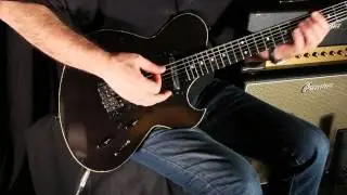 Guitar 14 - Ted Newman Jones, Austin Special, 1989 - Lance Keltner