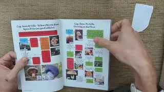 Identifying Boletaceae / Bolete Mushrooms - Using an Easy Flow Chart